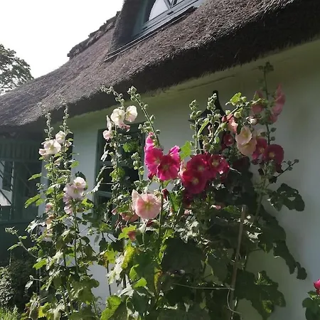 Eventyrligt Bondehus Willa Stege
