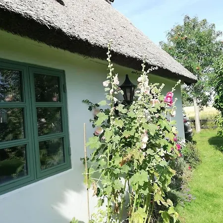 Eventyrligt Bondehus